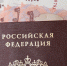 При каком условии самозанятые родители могут получить пособие на Херсонщине - Херсонка.ру