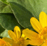 Воздух в Херсонской области прогреется в четверг до плюс 27 градусов - Херсонское агентство новостей