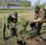 Офицеры СК России высадили деревья в поселке Тавричанка Херсонской области - Следственный комитет