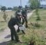 Офицеры СК России облагородили территорию аллеи в поселке Тавричанка Херсонской области - Следственный комитет
