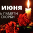 Владимир Сальдо в День памяти и скорби: «Бережно храним воспоминания обо всех, кто отдал жизнь за Родину» - Херсонское агентство новостей