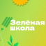 Экологический онлайн-проект «Зеленая школа» пригласил к участию жителей Херсонской области - Херсонское агентство новостей