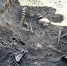 Поисковики нашли останки людей на месте захоронения жертв массовых расстрелов мирных жителей Генического района - Херсонка.ру