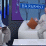Брыков: большинство стихов для конкурса «Мой флаг — мое государство» посвятили бойцам СВО - Херсонское агентство новостей