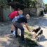 В Новую Каховку доставили более тонны корма для бездомных животных - Херсонское агентство новостей