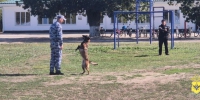 В Алексеевской школе полицейские провели профилактическое занятие - Херсонское агентство новостей