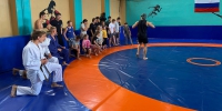Всероссийский фестиваль «Борьба в школу» пройдет в Херсонской области - Херсонское агентство новостей