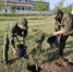 Рослесхоз рассказал об участии Херсонской области в акции «Сохраним лес» - Херсонское агентство новостей