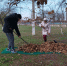 День охраны природы в Скадовском округе - Херсонка.ру
