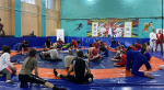 Чемпионы Европы и мира провели занятия по самбо для детей Херсонской области