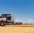 В херсонских школах создадут агротехнологические классы - Херсонское агентство новостей