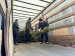 Из Ульяновской области доставили новогодние елки для херсонских и запорожских детей