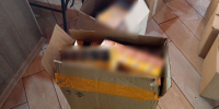 В кафе Херсонской области нашли более 1400 пачек поддельных сигарет - Херсонское агентство новостей