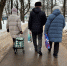 Сумка на колесиках — самый безопасный способ носить продукты для новогоднего стола - Херсонское агентство новостей