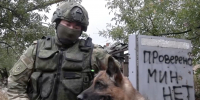 Альманах «Пульс региона». Новости вторника, 21 января - Херсонское агентство новостей
