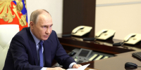 Путин поручил создать центр компетенций по ответственному обращению с животными - Херсонское агентство новостей