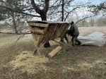 Голопристанское лесоохотничье хозяйство осуществляет подкормку диких лесных обитателей