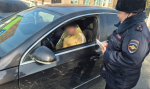 В Геническом округе рассказали о безопасной перевозке детей