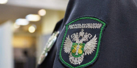 С начала года в Херсонской области выявлено 100 нарушений требований к растительной продукции - Херсонское агентство новостей