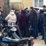 Делегация из Краснодарского края передала 2000 саженцев яблонь в Новоалексеевку Генического округа - Херсонка.ру