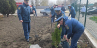В Геническе спасатели высадили аллею в честь 100-летия госпожнадзора - Херсонское агентство новостей