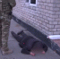 Житель Херсонской области участвовал в деятельности украинского вооруженного формирования - Херсонка.ру