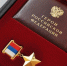 Главный врач Алешковской больницы удостоен звания Героя России - Херсонка.ру
