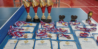 Чемпионат Геническа по настольному теннису собрал более 30 участников - Херсонское агентство новостей