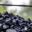 Новак: запасов угля России хватит еще на 500 лет - Херсонское агентство новостей