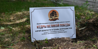 В Новотроицке высадили аллею в память о журналистах, погибших при исполнении служебного долга - Херсонское агентство новостей