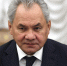 Шойгу: Стамбул — основная площадка для переговоров по украинскому кризису - Херсонское агентство новостей