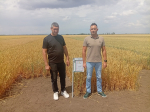 Херсонская область обеспечит себя семенами озимых зерновых несмотря на засуху