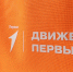 Движение Первых запустило профориентационную программу в Счастливцево - Херсонское агентство новостей