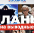 Всегда готовы посоветовать хорошее кино к выходным - Херсонское агентство новостей