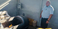 В Херсонской области уничтожили более 1,5 тонны небезопасной молочной продукции - Херсонское агентство новостей