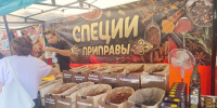 В Скадовске открылась ярмарка «Содружество» - Херсонское агентство новостей