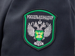Россельхознадзор провел совещание с херсонскими аграриями по вопросам карантина растений