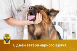 Дорогие ветеринары Херсонской области!