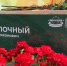 В Херсонской области открыли «Парту героя» в честь Семена Заулочного - Херсонское агентство новостей