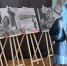 Фотопроект о зверствах ВСУ показали на международном фестивале кино в Челябинске - Херсонское агентство новостей