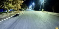 JPG Файл - МВД России по Херсонской области