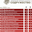 Футбольный клуб из Херсонской области завоевал серебро чемпионата «Содружество» - Херсонское агентство новостей