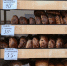 Хлебозавод «Днипро» выпускает до четырёх тонн хлебобулочной продукции в сутки - Правительство Херсонской области