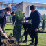 В Круглоозерке высадили Аллею казачьей славы - Херсонское агентство новостей