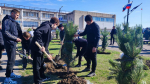 В Круглоозерке высадили Аллею казачьей славы