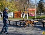 JPG Файл