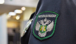 В Херсонской области пытались провезти около 30 телят без документов