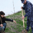 У памятного обелиска на мысе Кутара в Херсонской области высадили 11 ясеней - Херсонское агентство новостей