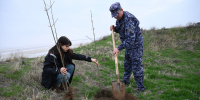 У памятного обелиска на мысе Кутара в Херсонской области высадили 11 ясеней - Херсонское агентство новостей