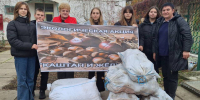 В Херсонской области собрали 1,6 т каштанов для животных «Аскания-Нова» - Херсонское агентство новостей